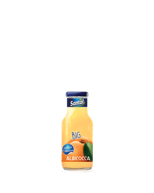 Apricot Juice Albicocca Santal 24x25cl