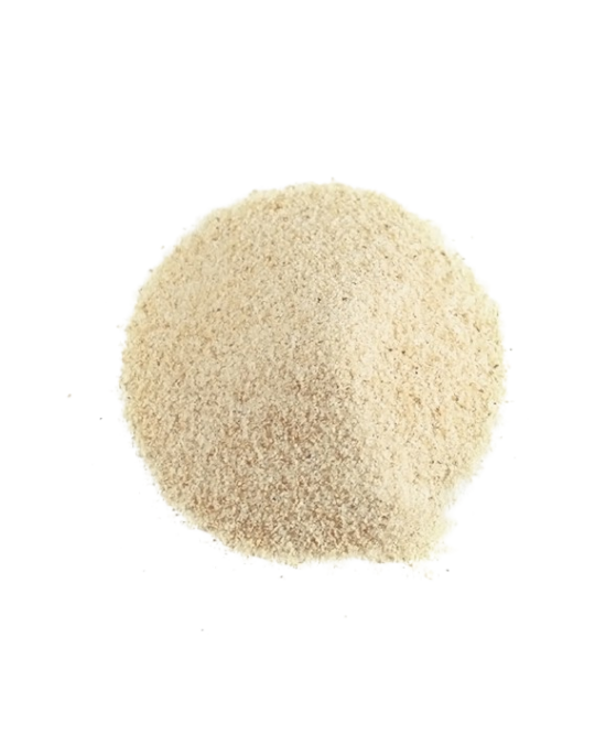 Onion Powder Polvere di Cipolla 1kg